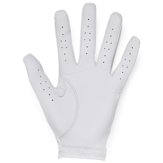 Under Armour Heren Golfhandschoen Iso Chill Wit