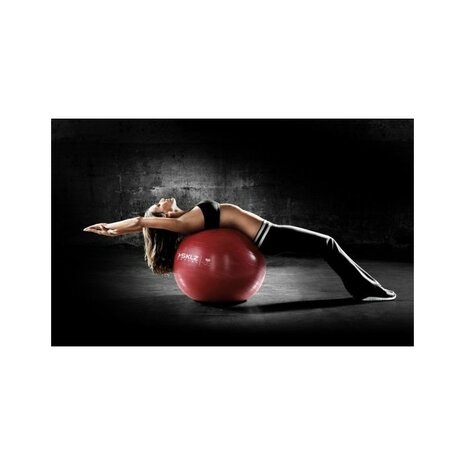 SKLZ Stability Ball - 55 cm