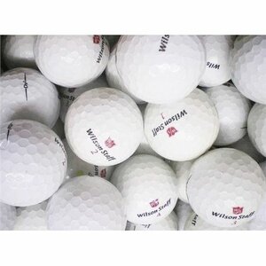 Wilson Staff Lakeballs 25